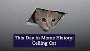 This Day in Meme History: Ceiling Cat