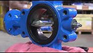 Assembly of the Pratt Industrial BF Series Butterfly Valve