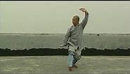 Shaolin Kung Fu Combat Styles: 9. small penetrating-arms form (通臂拳: tong bi quan)