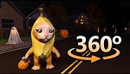 Banana Cat HALLOWEEN in 360° | VR / 4K