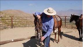 The Correct Way to Bridle a Horse