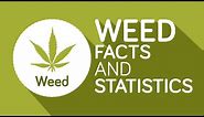 Weed: 12 Interesting Facts You Should Know