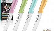 HAUSHOF Steak Knives Set of 4, Serrated Steak Knives, Premium Stainless Steel Steak Knife Set with Gift Box, Assorted Color