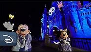 A Warm Welcome | Disneyland & Walt Disney World Resort