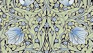 HAOKHOME 94028-4 Vintage Wallpaper Peel and Stick Floral Vine Green/Blue/Black Wall Murals Home Kitchen Bedroom Decor by William Morris 17.7in x 9.8ft