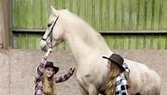 Fun by the horses 🥰 #dance #dancechallenge #beyonce #texas #beyoncetexasholdem #holdem #tiktokdance #horses #western | The three musketeers