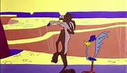 Video captures real-life Wile E. Coyote vs. Road Runner