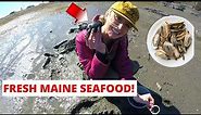 Maine Clamming Beginner CATCH AND COOK! - Digging For Clams and Exploring BEAUTIFUL Maine Coastline