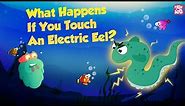 It's an Electric Eel - Don't Touch It | What Happens if You Touch An Electric Eel? | Dr Binocs Show