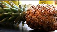 How to Grow a Pineapple Plant