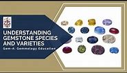 Gem-A Live: Understanding Gemstone Species and Varieties