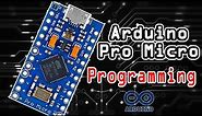 Getting started with the Pro Micro Arduino Board Leonardo || How To Program The Pro Micro atmega32u4