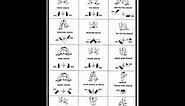 Kyokushin Karate Basic Stances (Dachi)