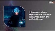 Blue Brain Project: The world's first artificial brain