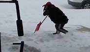 Guy Falls For 9 WHOLE Seconds Shovelling Snow!