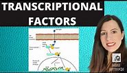 TRANSCRIPTIONAL FACTORS: Gene regulation and the role of oestrogen explained.