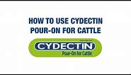 How to Use Cydectin Pour-On for Cattle