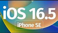How to Update iPhone SE to iOS 16.5