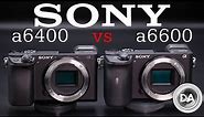 Sony a6400 vs Sony a6600 | Which to Buy?