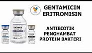Gentamisin & Eritromisin Antibiotik Penghambat Sistesis Protein Bakteri
