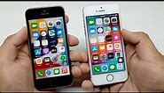 Apple iPhone SE vs iPhone 5S in 2023