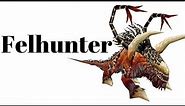 Felhunter Quest Walk-Through (Alliance)