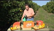 Hale Groves - How We Pick and Package Your Fruit Gifts