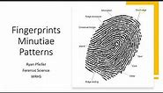 Fingerprint Minutiae Patterns