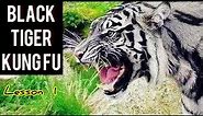 Black tiger Kung fu for beginners lesson 1 / step by step tutorial / 黑虎拳