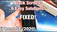 iPhone SE 2 (2020): How to Fix Black Screen (6 Easy Solutions)