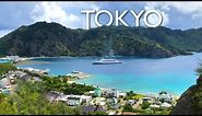 Tokyo's Hidden Pacific Island | OGASAWARA ★ ONLY in JAPAN
