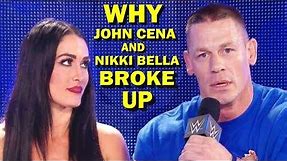 Shocking Reasons Why John Cena and Nikki Bella Broke Up