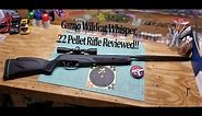 Gamo Wildcat Whisper .22 Caliber Break Barrel Pellet Rifle Review Shooting Unboxing Pellet Gun