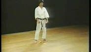 Heian Sandan - Shotokan Karate
