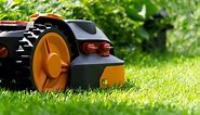 100  Funny And Clever Names For Your Robot Lawn Mower