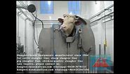 How cattle halal ritual kosher rotary killing box works Cow abattoir slaughtering equipment supplier