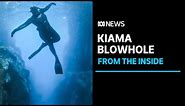 What's inside the Kiama Blowhole? Underwater photographer describes spectacular chamber | ABC News
