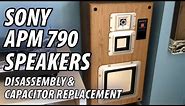 Sony APM 790 Speakers - Disassembly, Cleaning, & Capacitor Replacement (repair)
