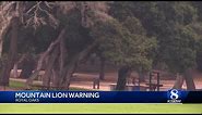 Mountain lions spotted in Royal Oaks park