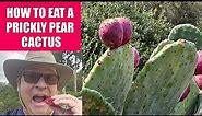How to Eat a Prickly Pear Cactus