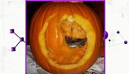 Best Pumpkin Carving Fails