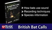 British Bat Calls: A Guide to Species Identification