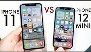 iPhone 12 Mini Vs iPhone 11 In 2023! (Comparison) (Review)