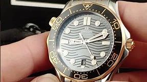 Omega Seamaster 300M Steel Rose Gold Mens Watch 210.20.42.20.01.001 | SwissWatchExpo