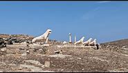 The Ancient Greek Archaeological site of Delos | Full Tour