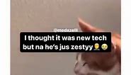 Do you see this 🤣🤣🤣🤣 #funny #funnymemes #funnyvideos #funnyshit #funnypictures #funnymeme #funnyvideo #funnyaf #funnypics #funnyposts #funnytumblr #funnyquotes #funnypost #funnypic #funnydog #funnycat | Foody Molly