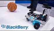 BlackBerry QNX Academy for Functional Safety (QNX/Texas Instruments GEM Robotics)