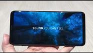 Samsung Galaxy S9+ Front Speaker