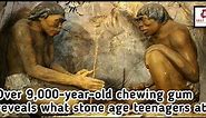 Over 9,000-year-old chewing gum reveals what stone age teenagers ate