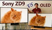 Sony ZD9 (Z9D) Review vs 2017 OLED TV